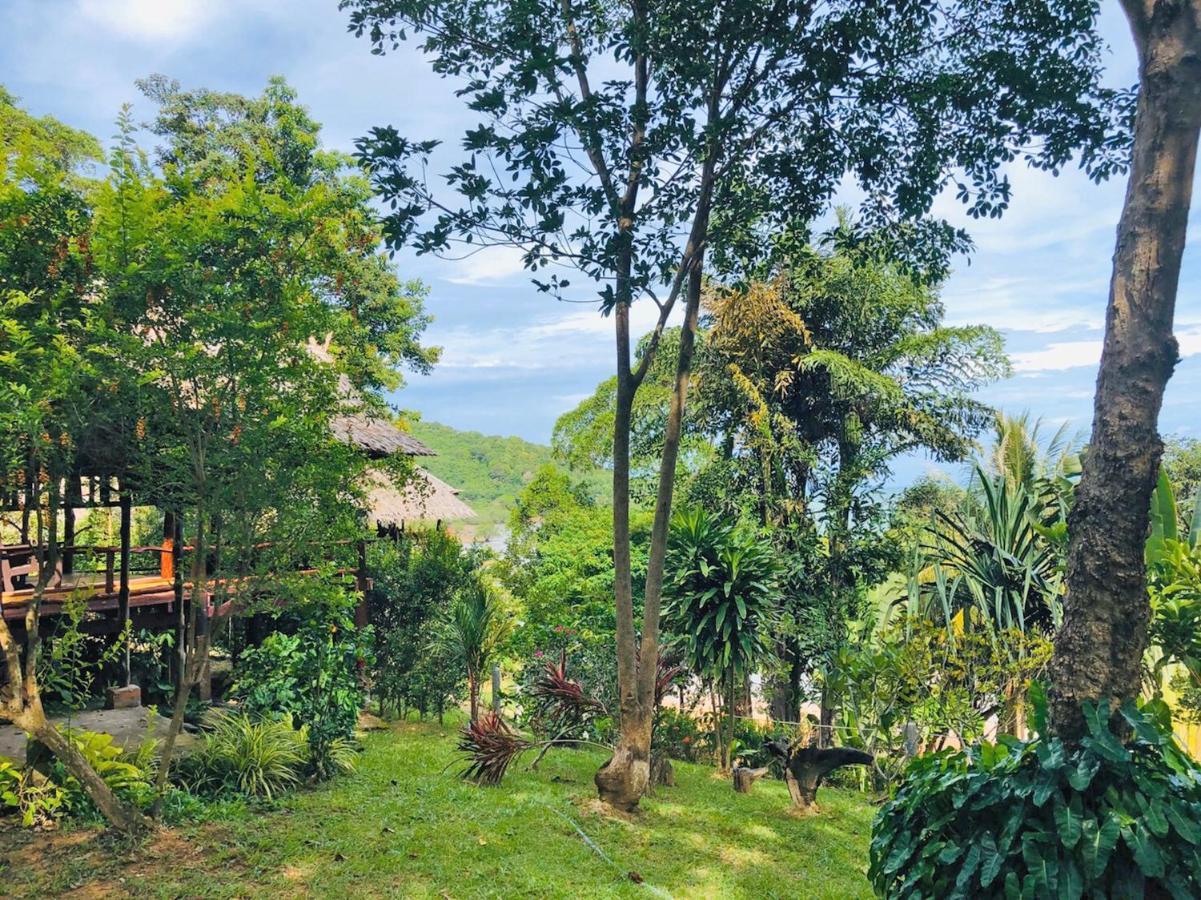 Banyan Bay *