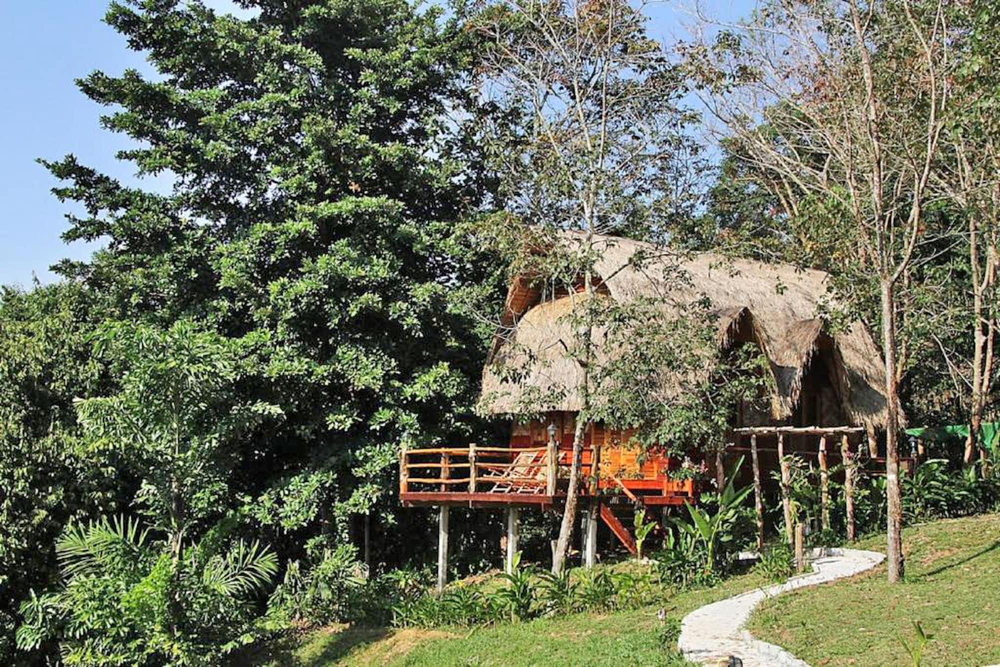 Banyan Bay