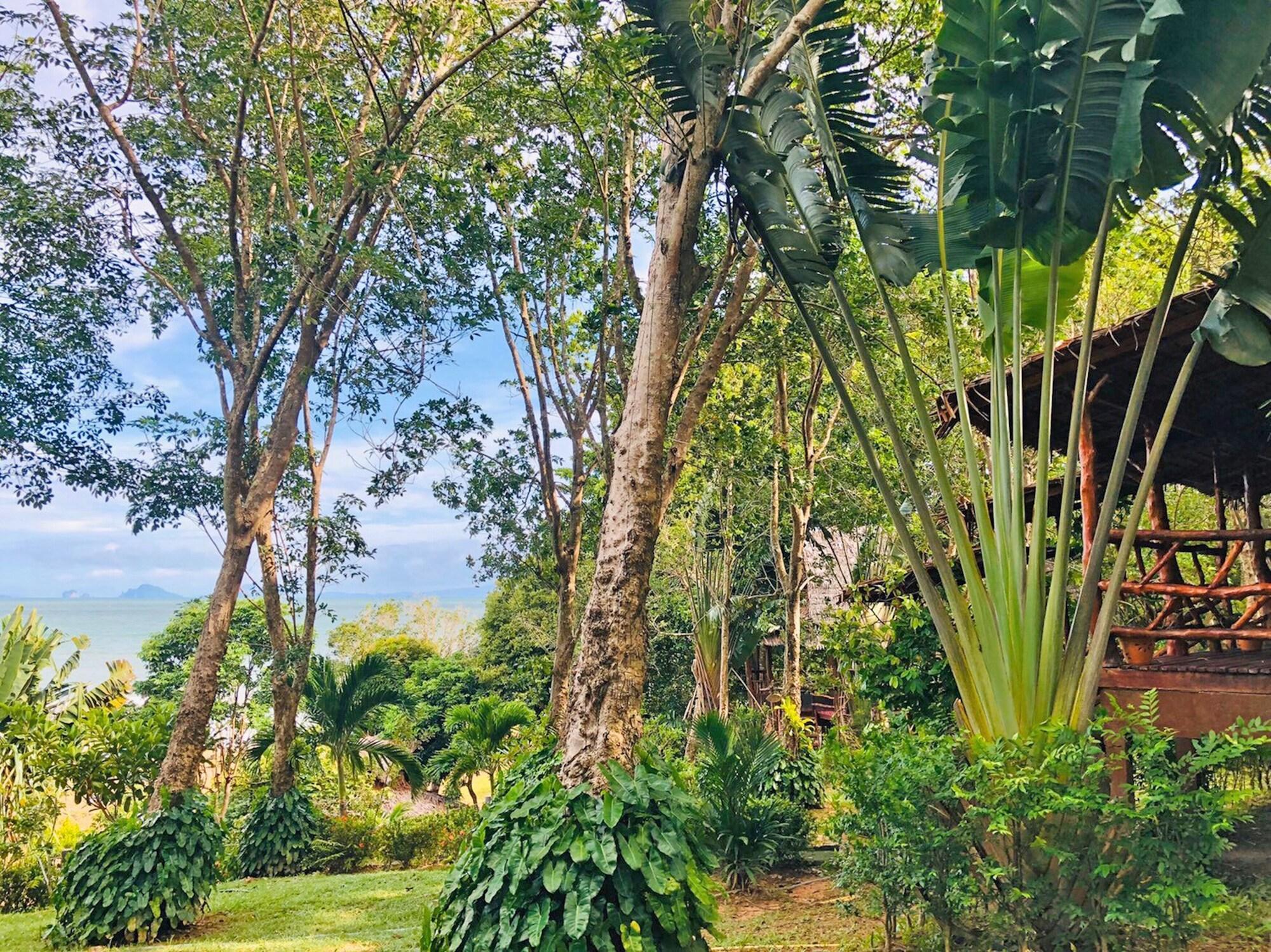 Banyan Bay *